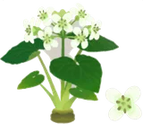 花咲く山ワサビの木