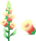 淡く光る幻想的な花の木