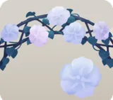 アーチに咲く夜顔の木