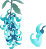 ヒスイカズラの木