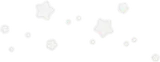 きらめく白い星屑