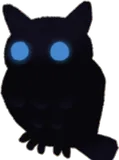 頭乗りフクロウ