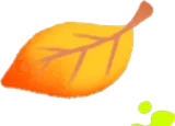 小さい紅葉した葉っぱ