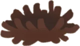 ちいさな木の巣
