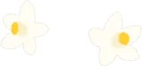 2輪の橘の花