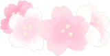 小さな桜の花冠