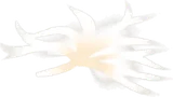 小さな綿羽