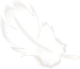 小さな羽毛