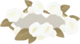 白い花冠