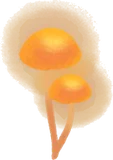 いつからか生えたヒカリノキノコ