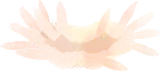ふわふわ気中菌糸