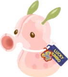 モチダルマトイ・ピンク