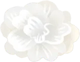 神秘に包まれた透明な草