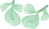 透き通った水草の冠