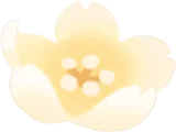 頭乗せ金桜