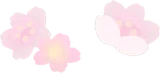 散りばめられた小さな桜の花