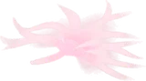 小さな綿羽・ピンク