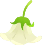 小さな白い花帽子