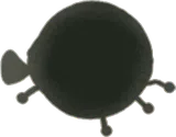 フウセンコガネの影
