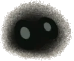 視線を感じる実の画像