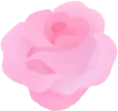 ガゼボに咲く薔薇の実の画像