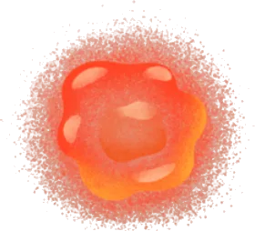 グミフラワーの実の画像