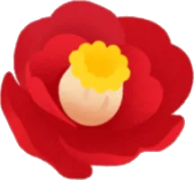 雪椿の花の実の画像
