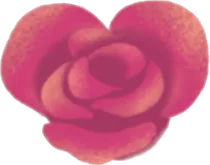 愛情を具現化した薔薇の実の画像