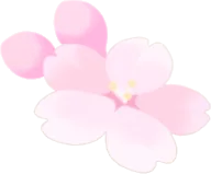 桜の花びらの実の画像