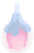 滝に咲く小さな花の実の画像