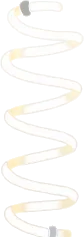 電球のフィラメントの実の画像
