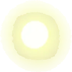 小さな太陽の実の画像