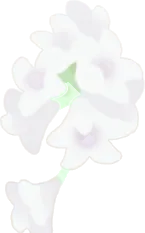 看板に絡むお花の実の画像