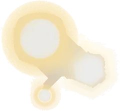テントの光の実の画像
