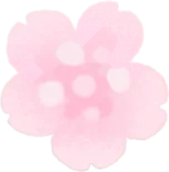 枝垂桜の実の画像