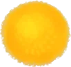 ミモザの実の画像
