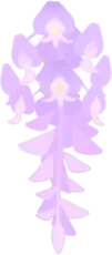 藤の花の実の画像