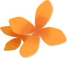 ウェディングガゼボの花飾りの実の画像