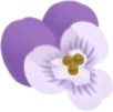 不思議な花の実の画像