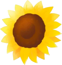 ひまわりの花の実の画像