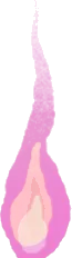 妖しい柳の鬼火の実の画像