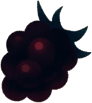 物語のブラックベリーの実の画像