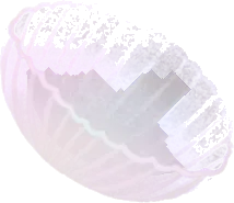 ザラエノヒトヨタケの傘の実の画像