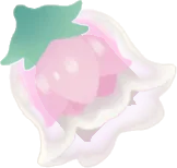 氷凛花の実の画像