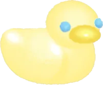 子アヒルの実の画像