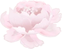 天上に咲く牡丹の花の実の画像