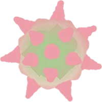 トゲツボカズラの実の画像