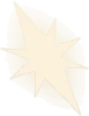 星形の砂の実の画像