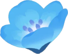 ネモフィラの花の実の画像