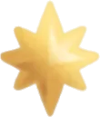 星形オーナメントの実の画像